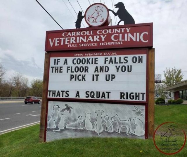 The Carroll County Veterinary Clinic Signs (30 pics)