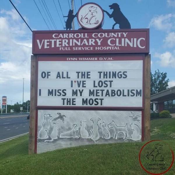 The Carroll County Veterinary Clinic Signs (30 pics)