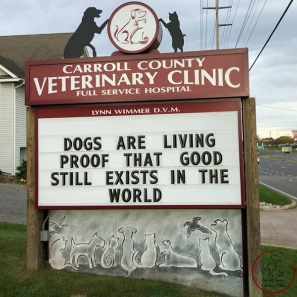 The Carroll County Veterinary Clinic Signs (30 pics)