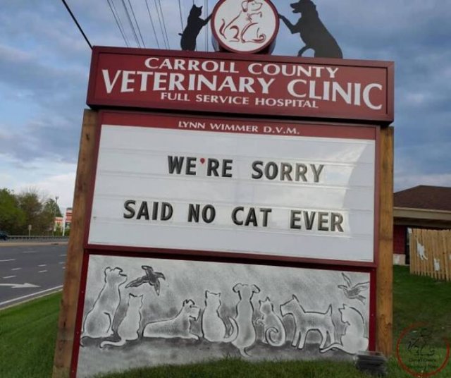 The Carroll County Veterinary Clinic Signs (30 pics)