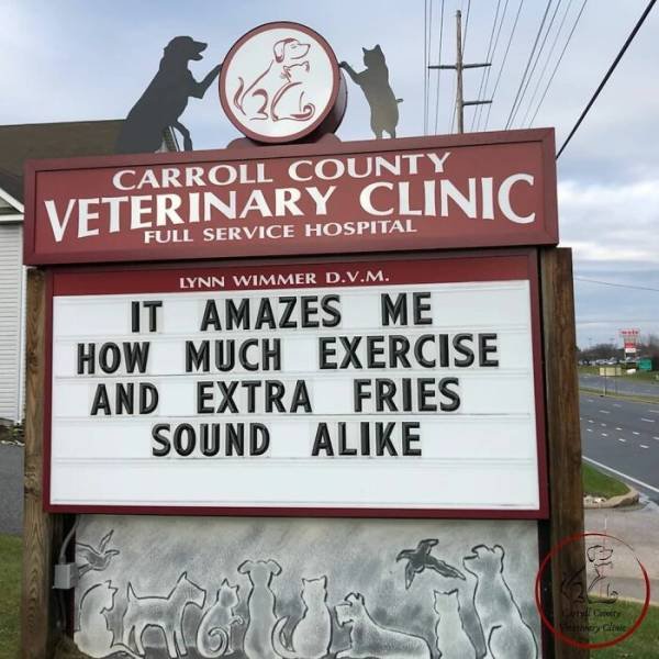 The Carroll County Veterinary Clinic Signs (30 pics)