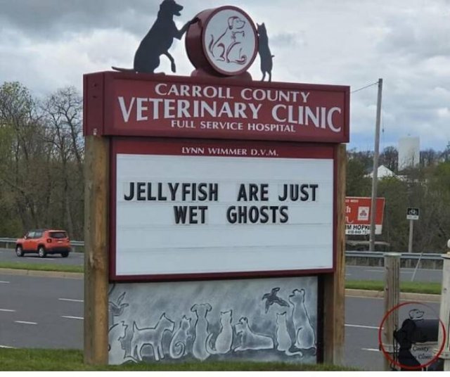 The Carroll County Veterinary Clinic Signs (30 pics)