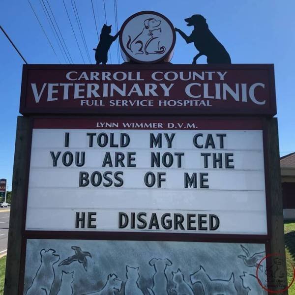 The Carroll County Veterinary Clinic Signs (30 pics)