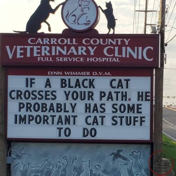 The Carroll County Veterinary Clinic Signs (30 pics)