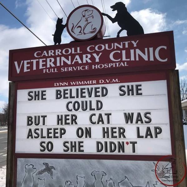 The Carroll County Veterinary Clinic Signs (30 pics)