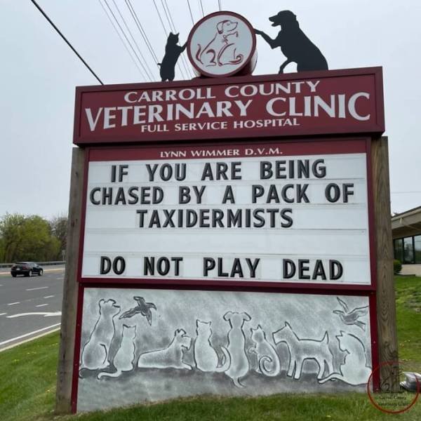 The Carroll County Veterinary Clinic Signs (30 pics)