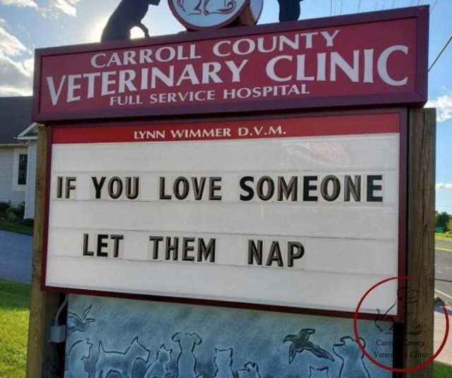 The Carroll County Veterinary Clinic Signs (30 pics)