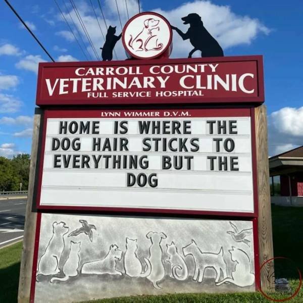 The Carroll County Veterinary Clinic Signs (30 pics)