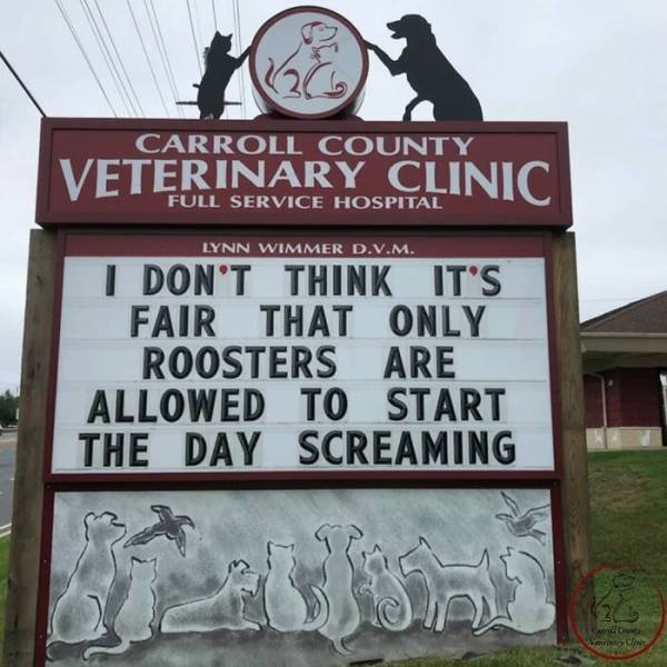 The Carroll County Veterinary Clinic Signs (30 pics)