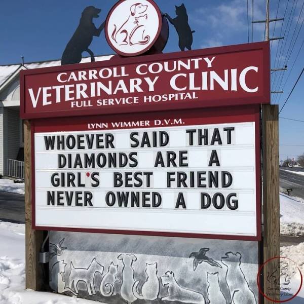 The Carroll County Veterinary Clinic Signs (30 pics)