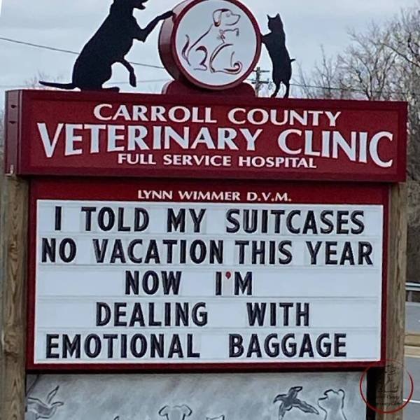 The Carroll County Veterinary Clinic Signs (30 pics)