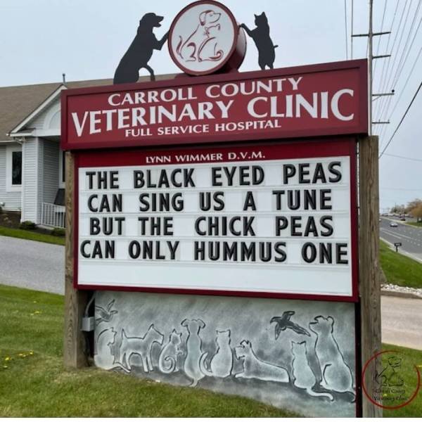 The Carroll County Veterinary Clinic Signs (30 pics)