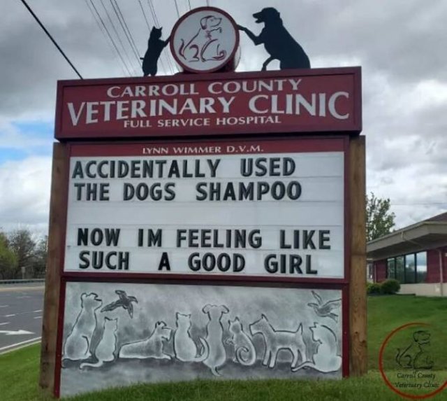 The Carroll County Veterinary Clinic Signs (30 pics)