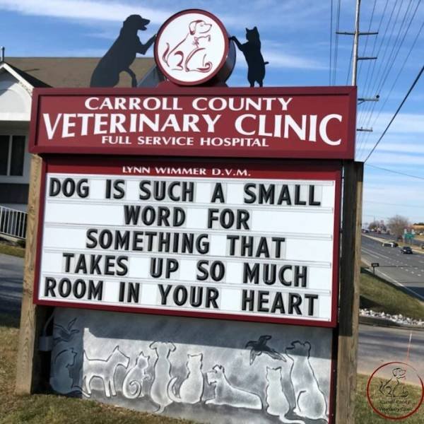 The Carroll County Veterinary Clinic Signs (30 pics)