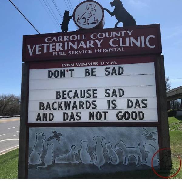 The Carroll County Veterinary Clinic Signs (30 pics)