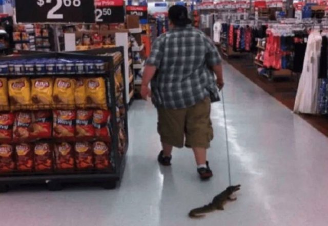 Acid Picdump 1 (90 pics)