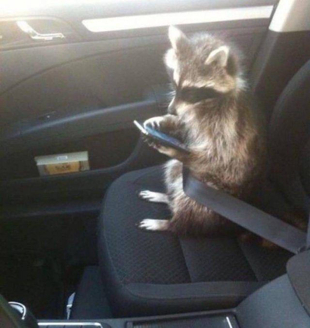 Acid Picdump 1 (90 pics)