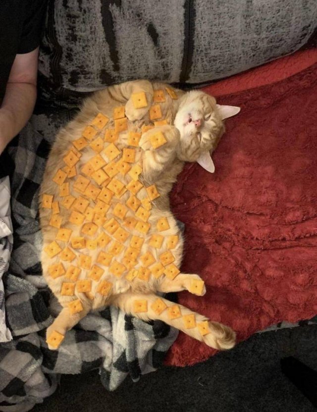 Acid Picdump 1 (90 pics)