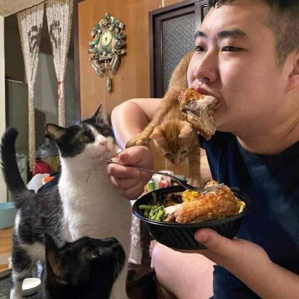 Acid Picdump 1 (90 pics)