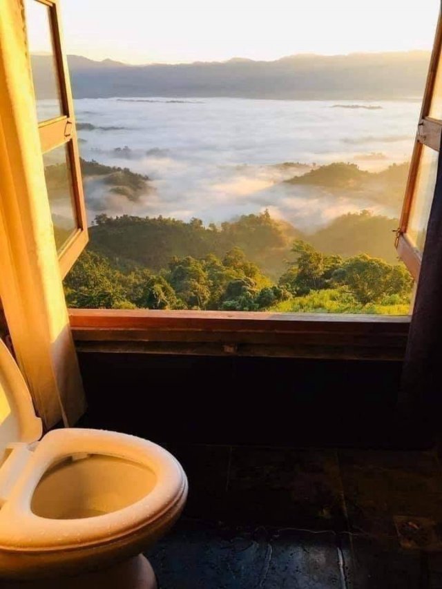 Acid Picdump 1 (90 pics)