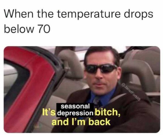 Halloween Memes (24 pics)