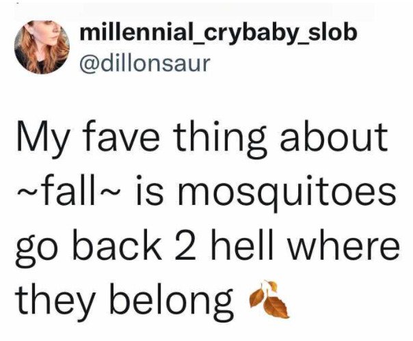 Halloween Memes (24 pics)