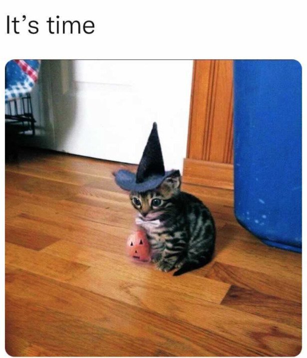Halloween Memes (24 pics)