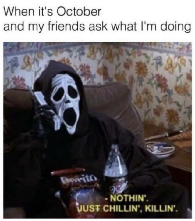 Halloween Memes (24 pics)