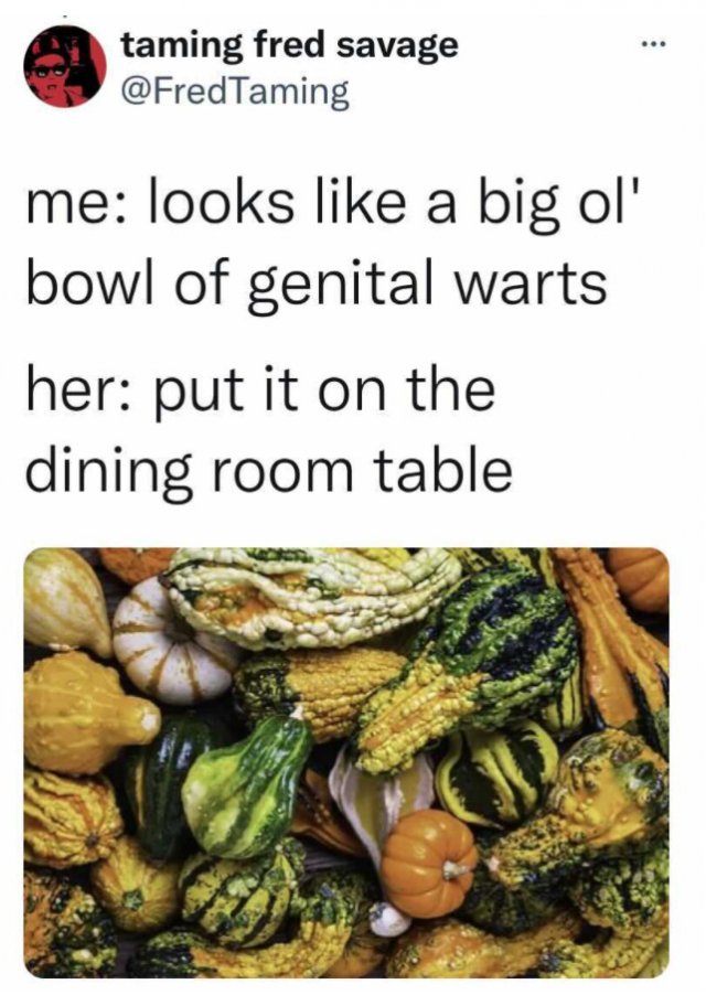 Halloween Memes (24 pics)