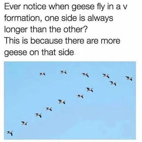 You Can't Even Argue (31 pics)