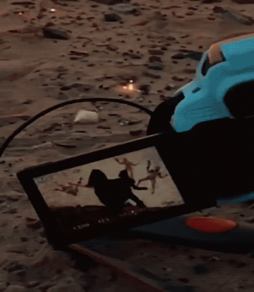 Wins And Fails (27 gifs)
