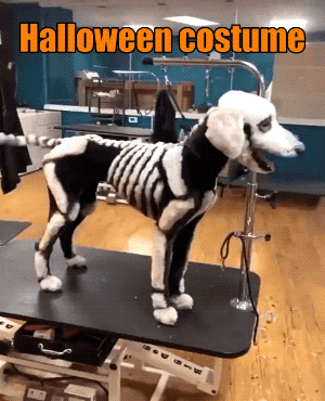 Wins And Fails (27 gifs)