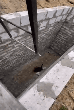 Wins And Fails (27 gifs)