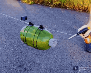 Wins And Fails (27 gifs)
