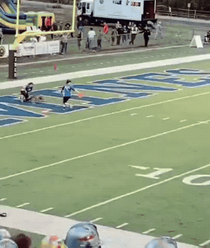Wins And Fails (27 gifs)