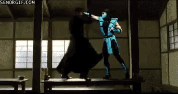 Wins And Fails (27 gifs)