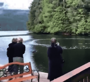 Wins And Fails (27 gifs)