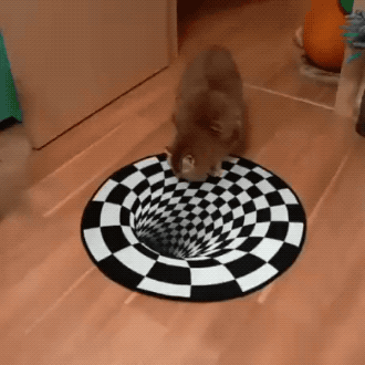 Wins And Fails (27 gifs)