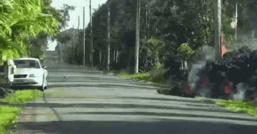 Wins And Fails (27 gifs)