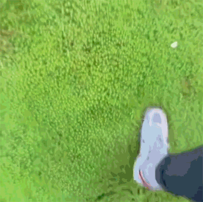 Wins And Fails (27 gifs)