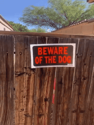 Wins And Fails (27 gifs)