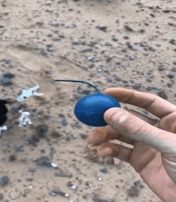 Wins And Fails (27 gifs)