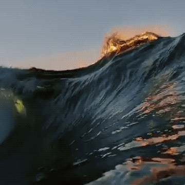 Wins And Fails (27 gifs)