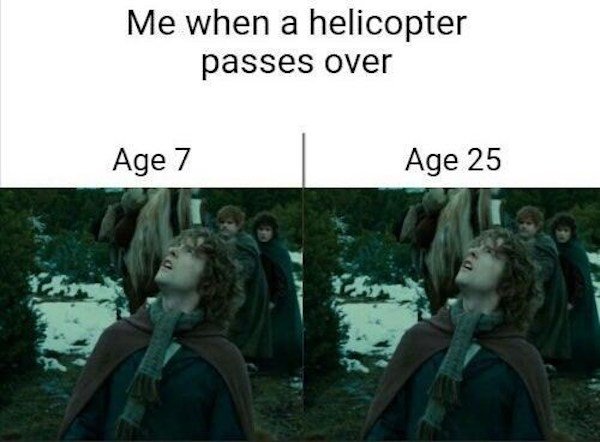 LOTR Memes (39 pics)