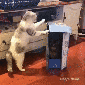Acid Gifdump, October 7 (25 gifs)