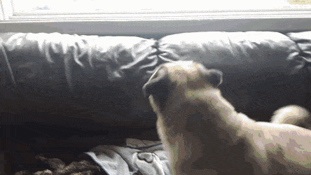 Acid Gifdump, October 7 (25 gifs)