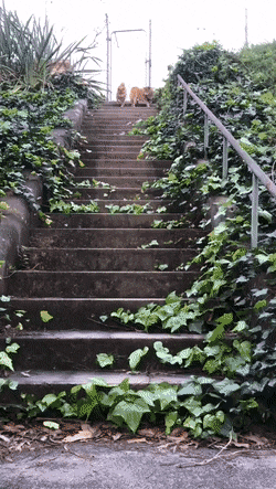 Acid Gifdump, October 7 (25 gifs)