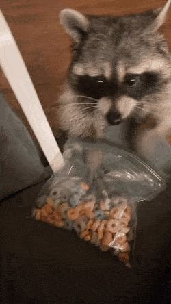 Acid Gifdump, October 7 (25 gifs)