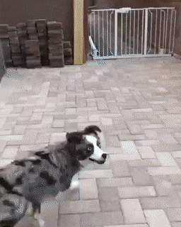 Acid Gifdump, October 8 (25 gifs)