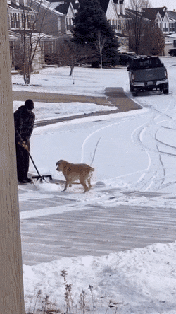 Acid Gifdump, October 8 (25 gifs)